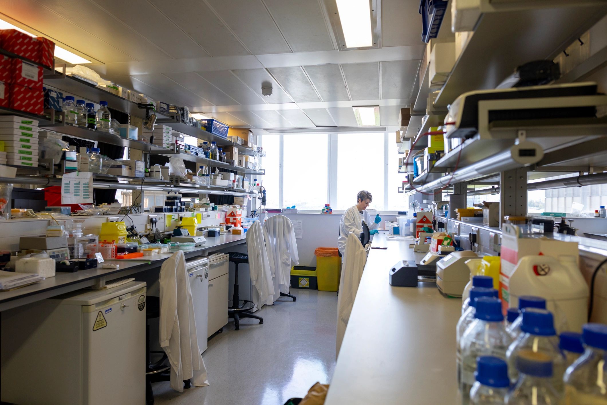 Scientist working in a laboratory testing environment